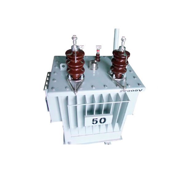 10KV級單相配電變壓器/10KV level single-phase distribution transformer